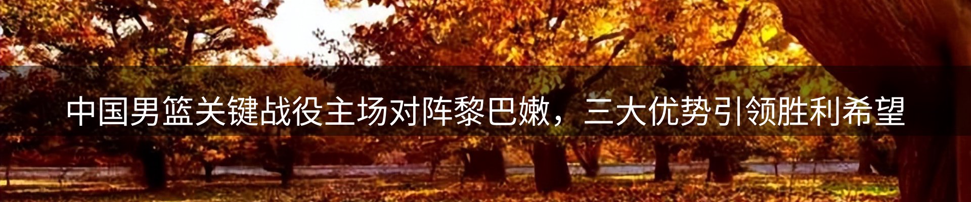 动态焦点