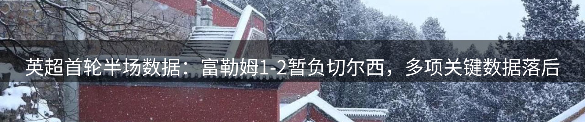 网站资讯
